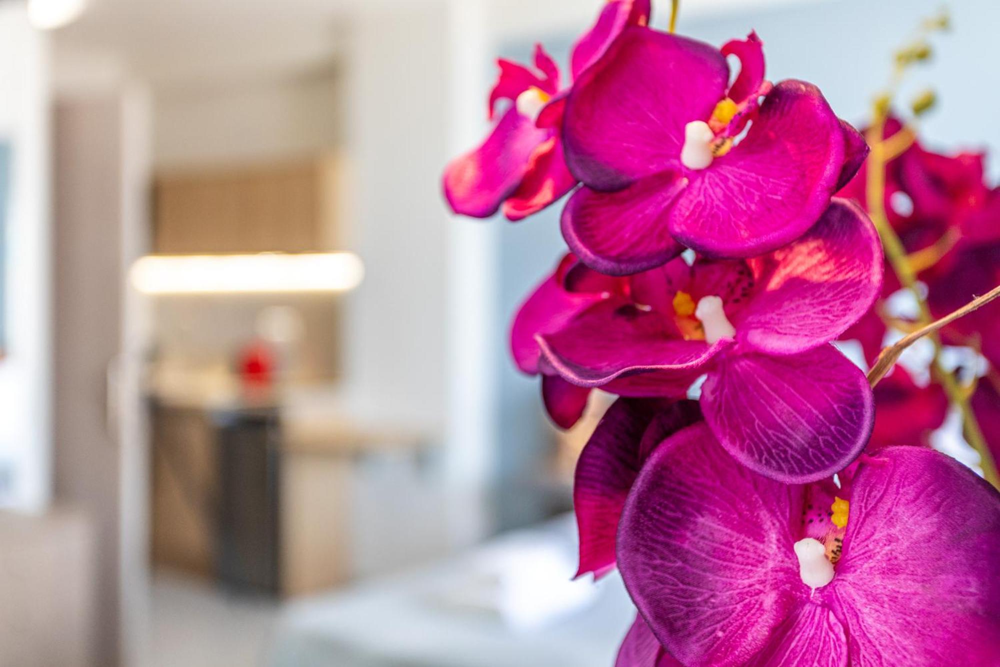 Marina Aparthotel Kardhamili Bagian luar foto